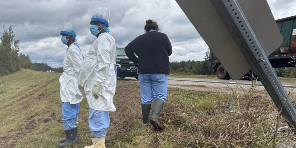 Private: The last monkey on the loose among several that escaped after a Mississippi highway crash has been found and captured The last monkey on the loose among several that escaped after a Mississippi highway crash has been found and captured