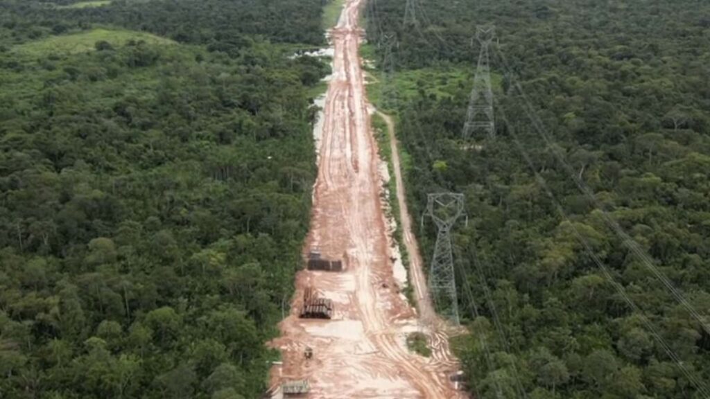 Outrage as Amazon Rainforest is cleared of 100,000 trees to make way for climate summit