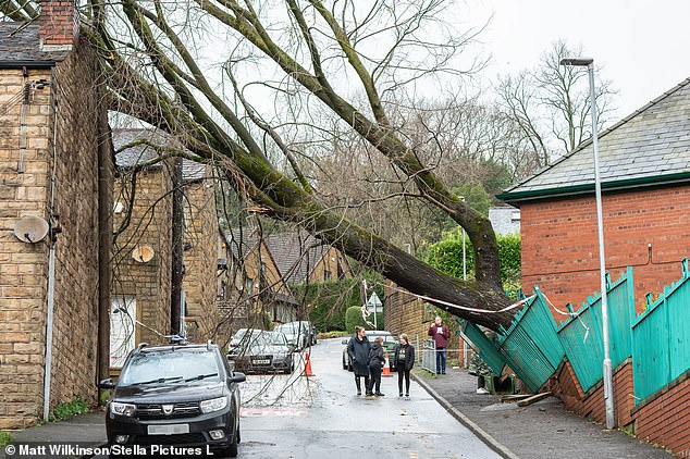 MANCHESTER: A tree from the ground of Milton St John's School has collapsed on a terraced house