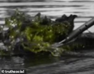 Photo of the Lincoln Memorial Reflecting Pool