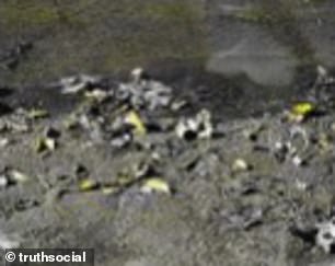 Photo of the Lincoln Memorial Reflecting Pool