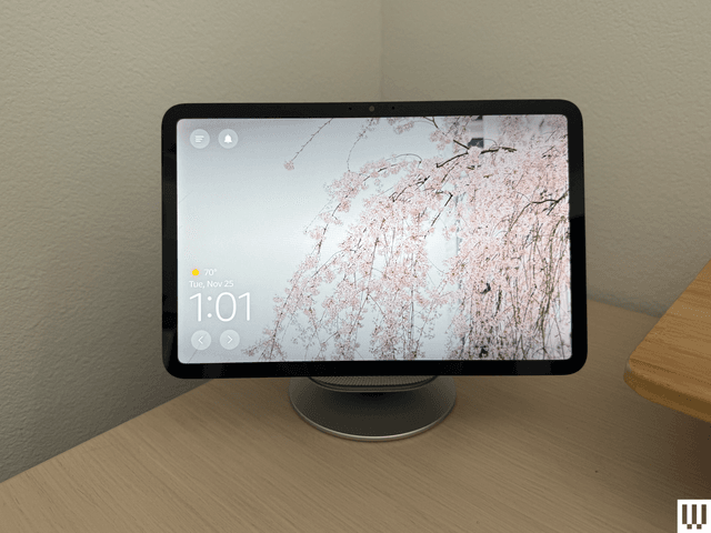 Image may contain: Electronics, Screen, Computer Hardware, Hardware, Monitor, TV, Flower, Plant, Computer, and Pc