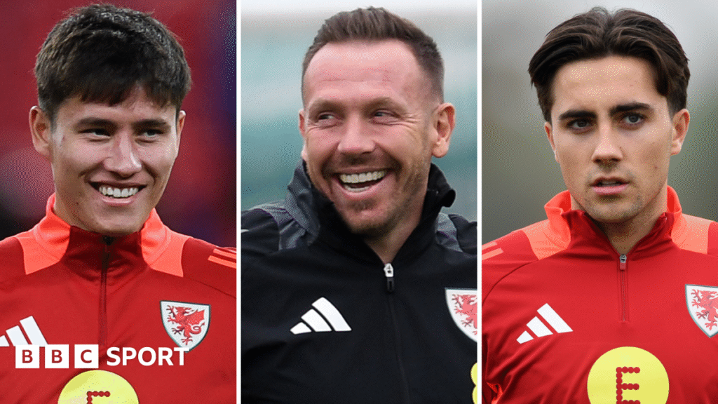 Cardiff youngsters a 'dream' for Wales boss Bellamy