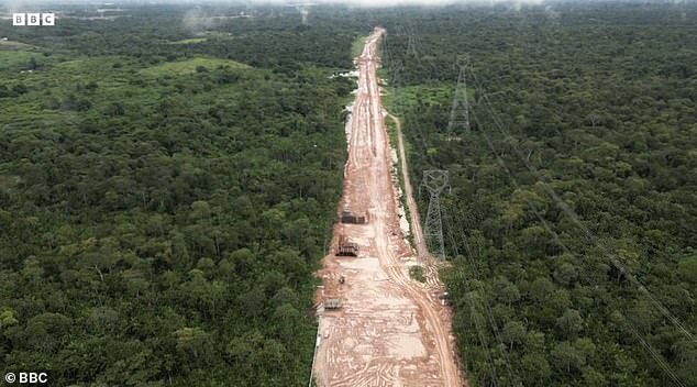Approximately 100,000 trees have been removed from the protected Amazon rainforest in order to build a highway for guests to the COP30 climate change summit in Brazil