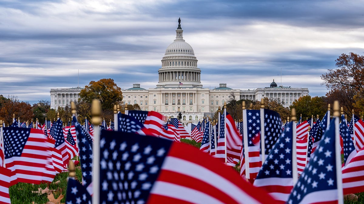 Miniature American flags flutter in wind gusts across the National Mall near the Capitol in Washington, Nov. 10, 2025. (AP Photo/J. Scott Applewhite)