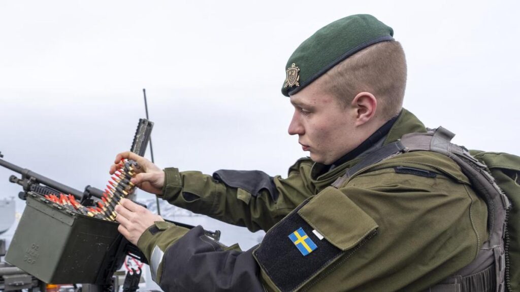 Sweden seeks long-range weapons to strike inside Russia