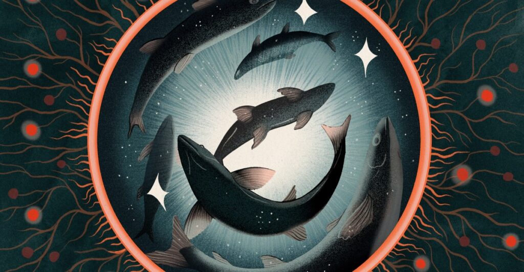 The surprisingly profound debate over whether fish feel pain