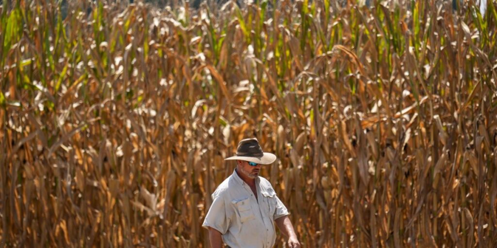 Why Land O’Lakes is piloting a new AI tool called ‘Oz’ in bid to help boost profits on cost-pressured American farms