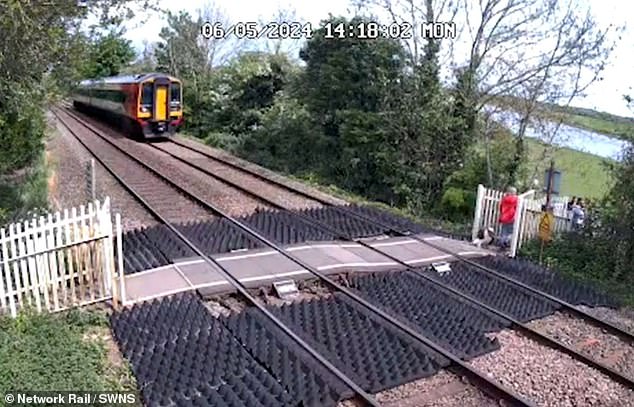 The image shows the crossing where Josh was killed on Wednesday