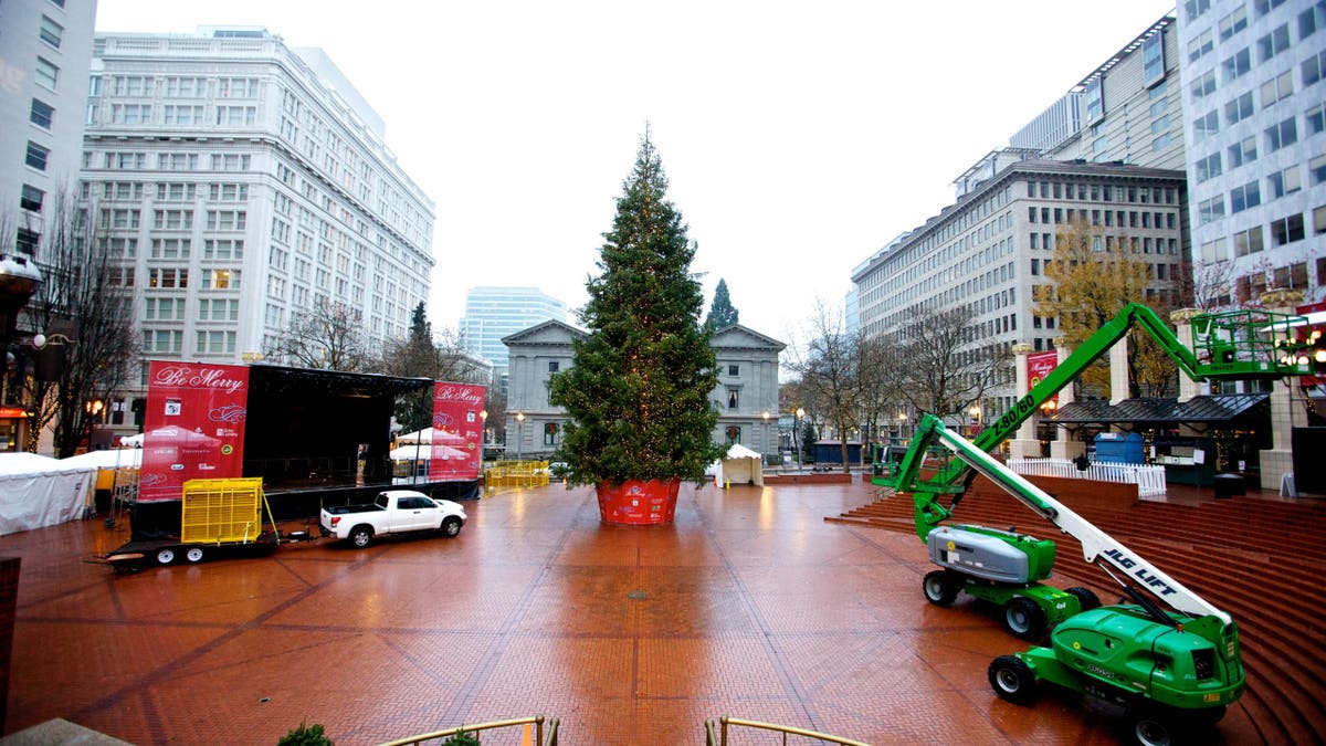 Portland's main Christmas tree on display during the day 