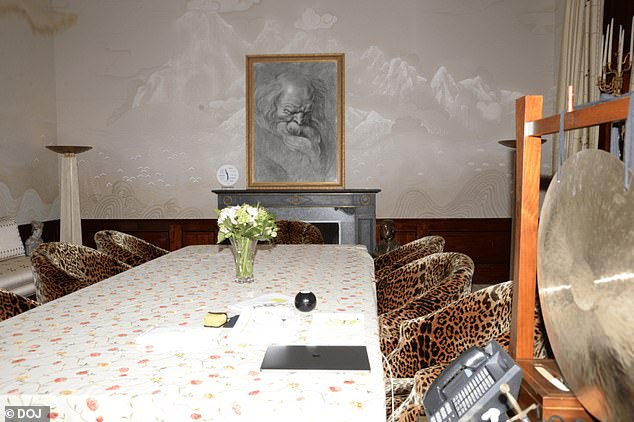 The interior of Epstein's New York mansion is pictured extensively in the files