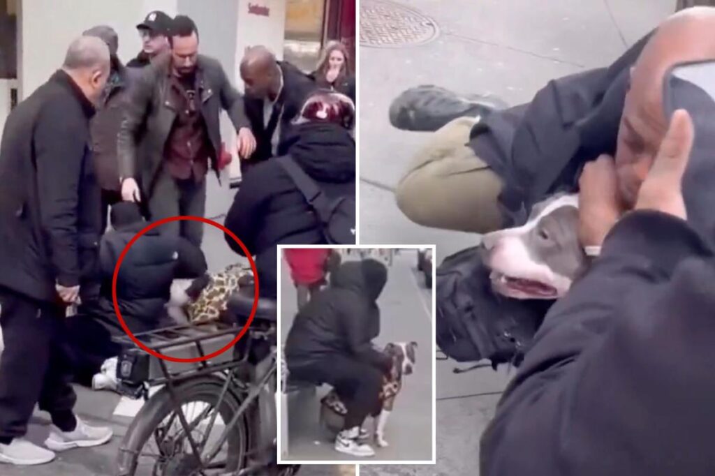 Disturbing video shows pit bull attack 1-year-old on crowded NYC street, refusing to let go