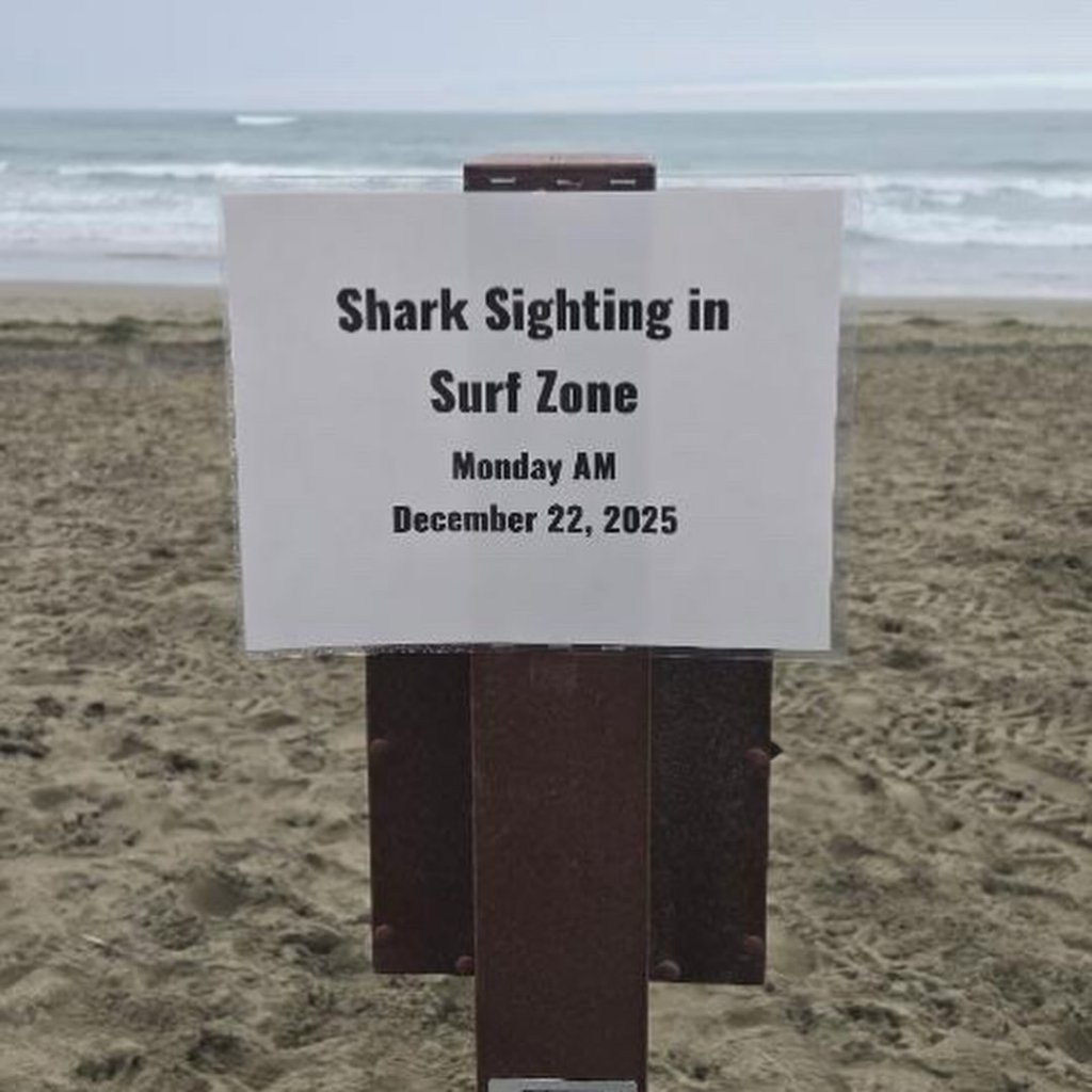 Sign on a beach pole warns 