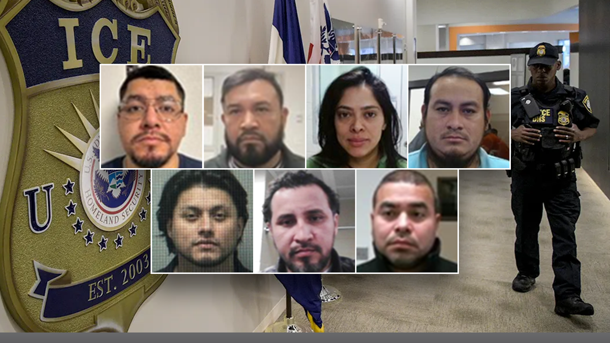 Criminal illegal immigrants arrested during ICE's Operation 