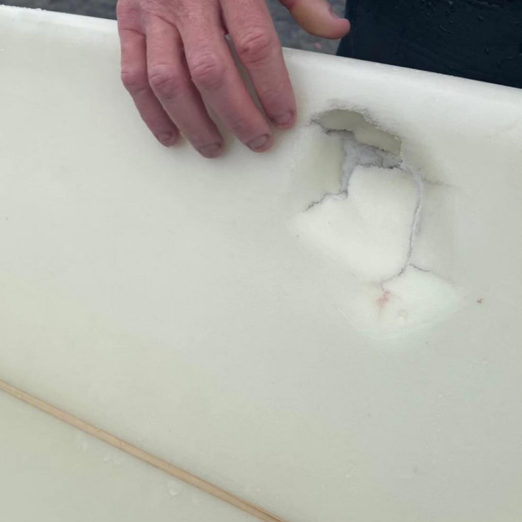 Shark bite mark on the bottom of a surfboard.