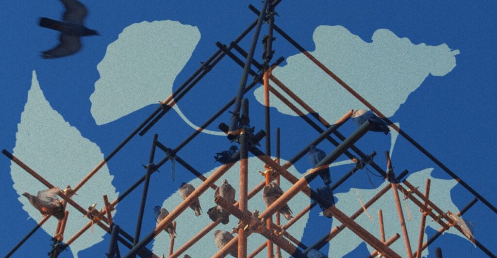 Vox launches new editorial package examining how America can improve its capacity to build