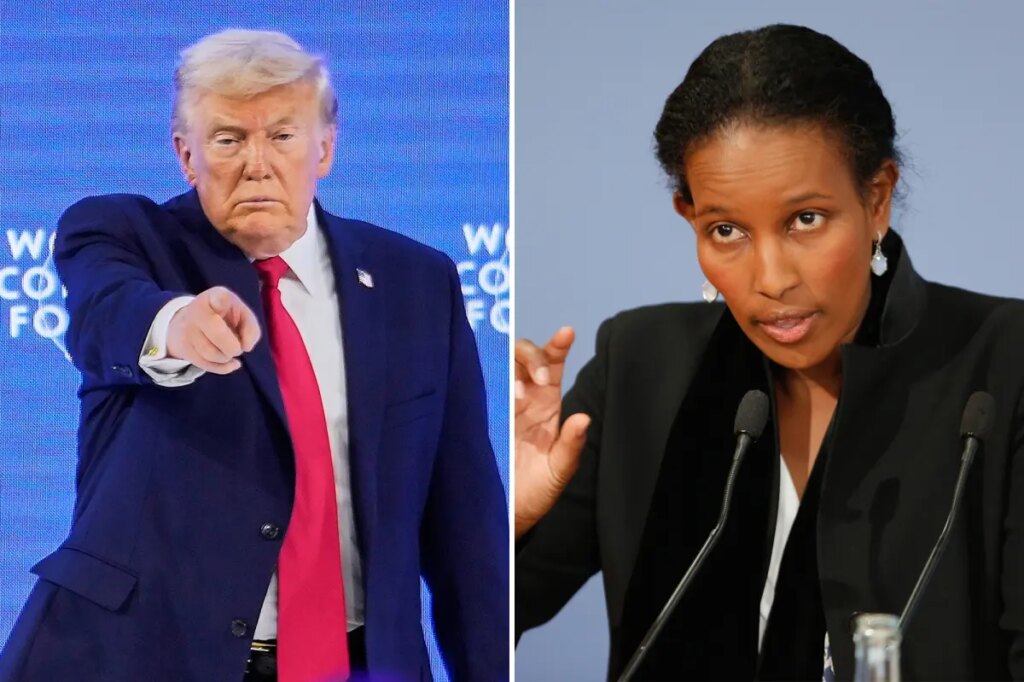 Somali-born activist praises Trump’s stark warning at Davos speech: ‘Priority No. 1’