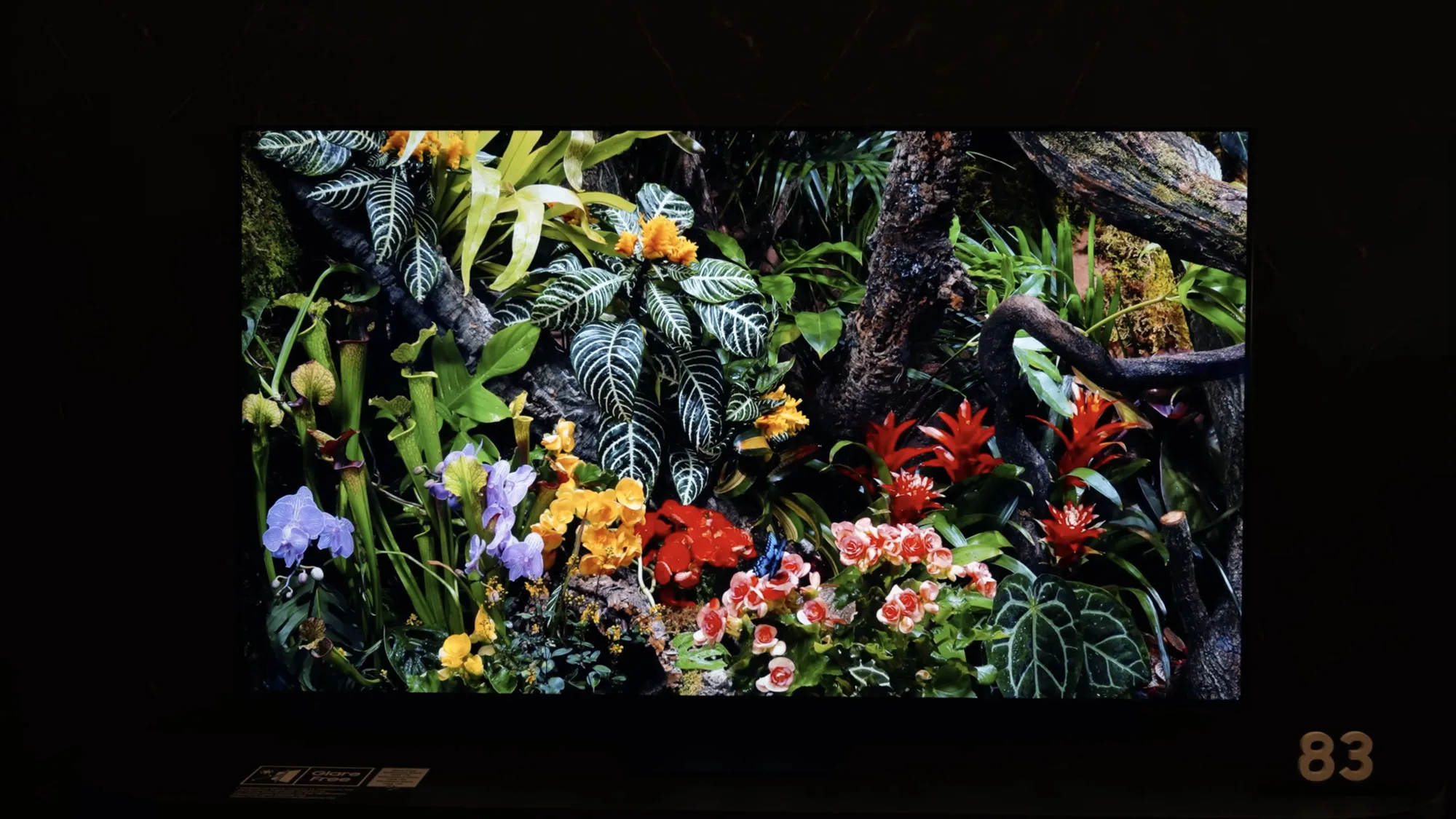 Flower, Flower Arrangement, Plant