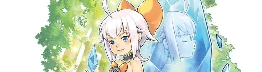 Final Fantasy Crystal Chronicles: Echoes of Time (Wii)