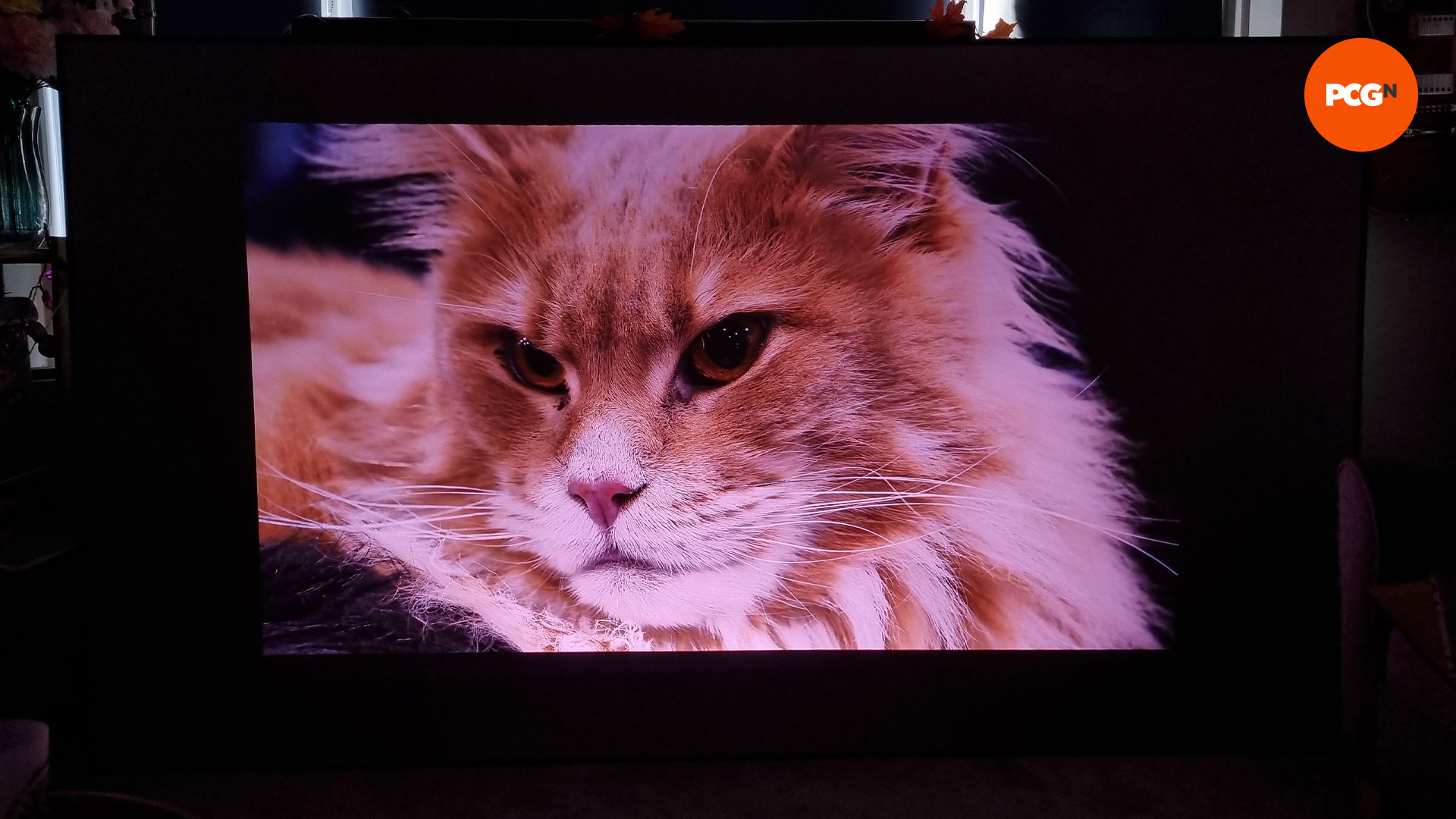 valerion visionmaster pro 2 review 25 image quality cat