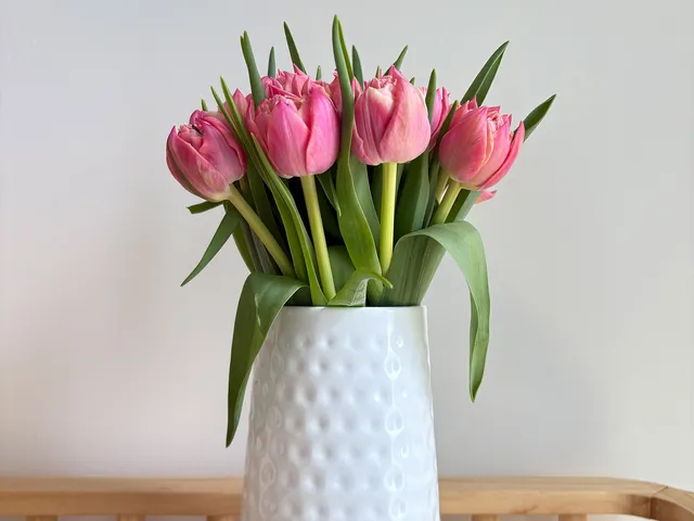 Image may contain: Jar, Pottery, Vase, Flower, Flower Arrangement, Plant, Potted Plant, Flower Bouquet, and Planter