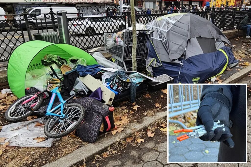 NYC shop owners claim junkies shoplifting, selling goods for drugs: ‘It’s like a parade’