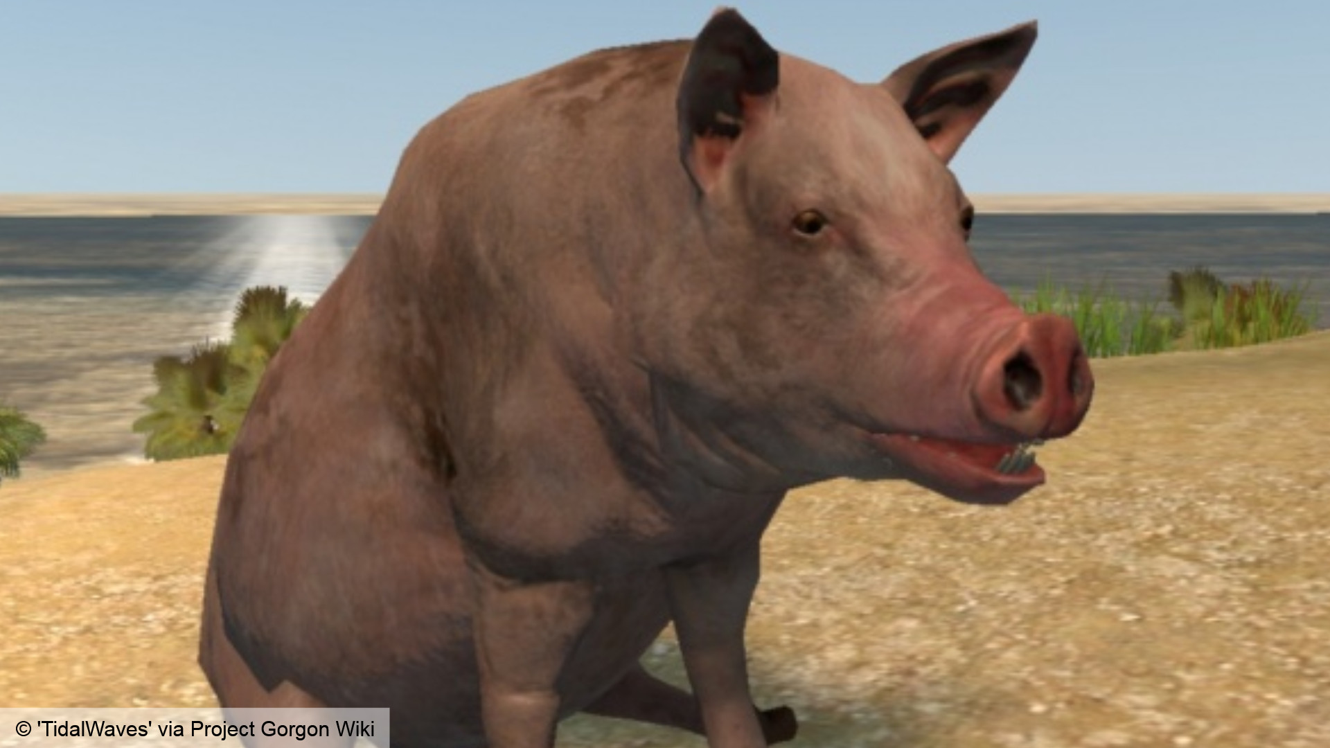 Project Gorgon - A player pig.