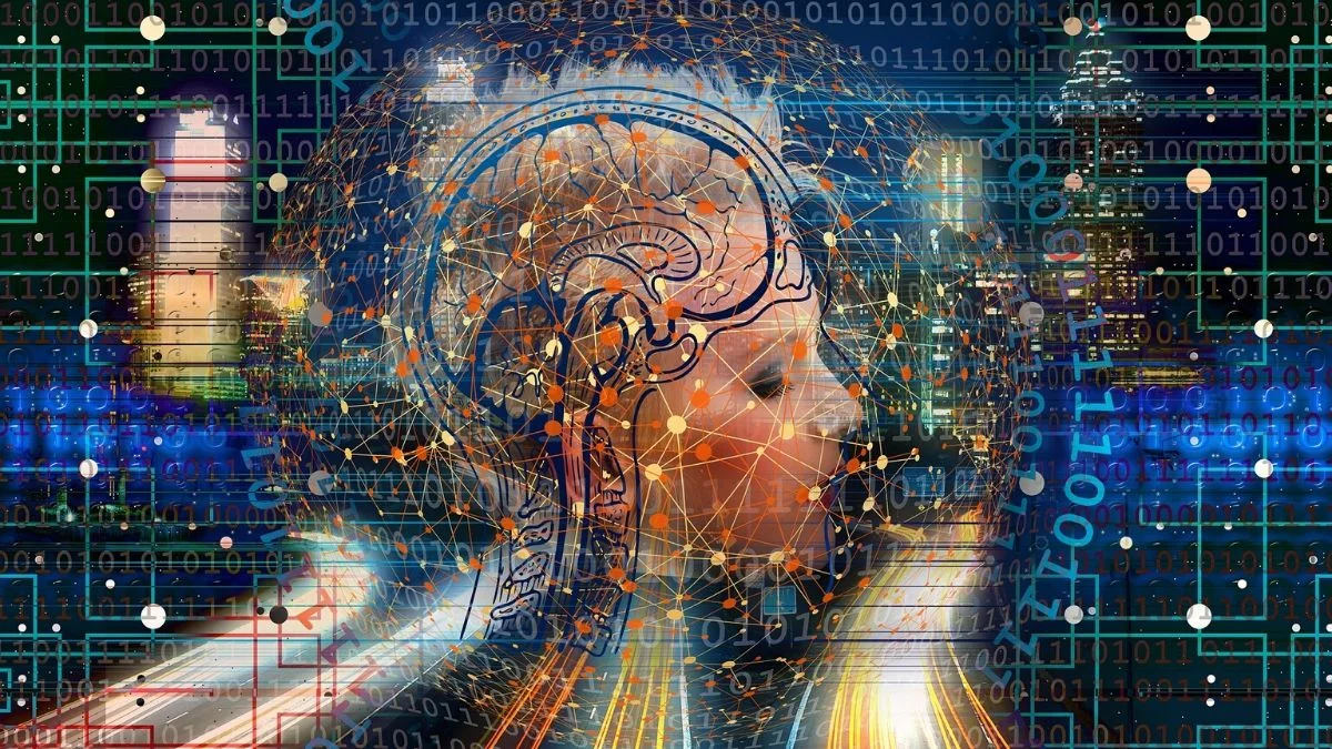 Transformation Web Brain Network